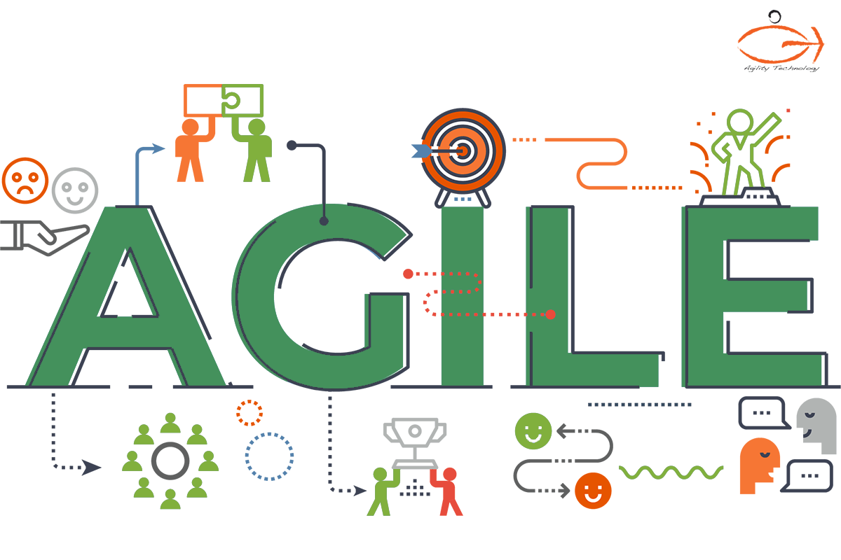 Agile Methodology Adoption Challenges in an Organizational Structure